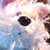 :icondubstepbulldog: