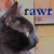 :iconduchessofquirk: