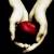 :iconduck-duck-goose13:
