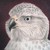 :iconduck-hawk: