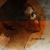 :iconduck-of-the-void: