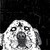 :iconduckduckbear: