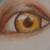 :iconducksinarow:
