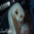 :iconducktoller: