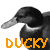 :iconducky-sama: