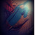 :iconduckyblue26: