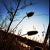 :icondude730: