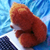 :icondudeg: