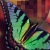 :icondudette117: