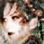 :icondudette13: