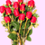 :icondudkaten-kalbe: