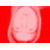 :iconduebiusd: