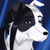 :iconduffcollie: