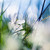 :icondugglleby:
