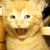 :iconduggyman:
