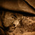 :icondukemacabre: