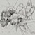 :icondukeofdeception: