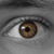 :icondukeofdourden: