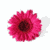 :icondulce-strawberry: