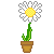 :icondulcechokolate: