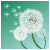 :icondumb-intelligence:
