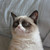 :icondumbledoreisamazing: