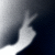:icondummy4sale:
