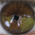 :iconduncanp: