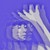 :iconduncci: