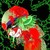 :icondungen99: