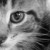 :icondungeon-walker: