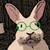 :icondungpham:
