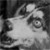 :icondunnocare: