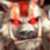 :iconduo02:
