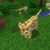 DupstepCat :icondupstepcat: