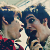:icondurhamn: