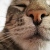 :icondurman-trava:
