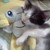 :icondurrrachi: