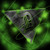 :icondusanalexov:
