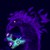 :icondusherfox: