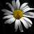 :icondusk-and-dawn: