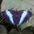:icondusk-mnq: