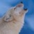:icondusk-walker5: