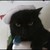 :iconduskenight: