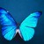 :iconduskesper17:
