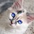 :iconduskflight03: