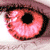 :iconduskrainflower:
