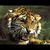 :icondusktiger: