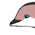 :icondusky-dolphin: