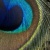 :iconduskybay: